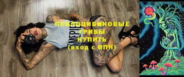 apvp Алексеевка