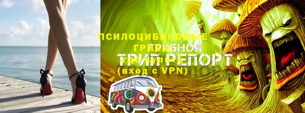 apvp Алексеевка