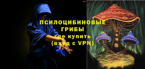гидра Алзамай